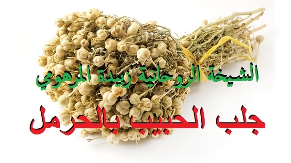 جلب الحبيب بالحرمل