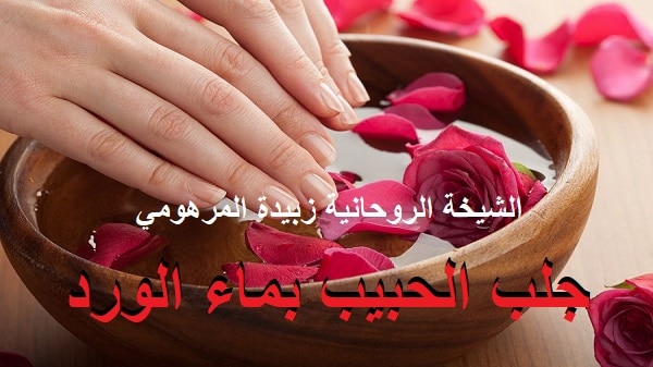 جلب الحبيب بماء&nbsp;الورد