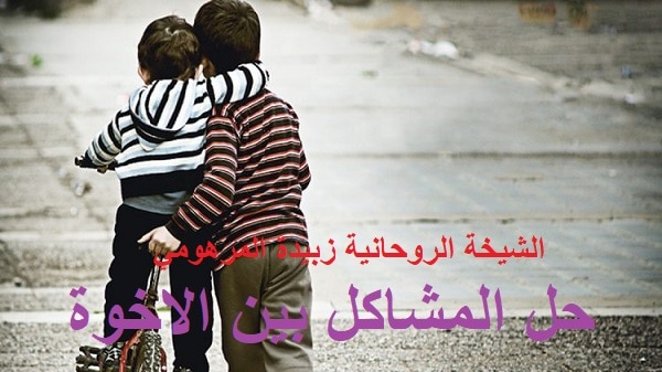 حل المشاكل بين&nbsp;الاخوة