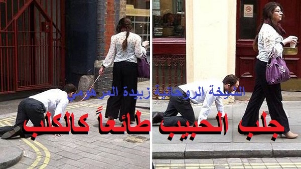 جلب الحبيب طائعاً&nbsp;كالكلب